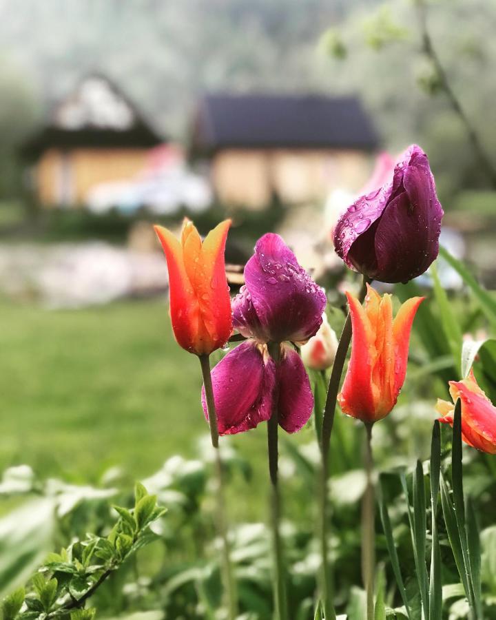 Mala Gorczanska Chatka Ochotnica Dolna Luaran gambar